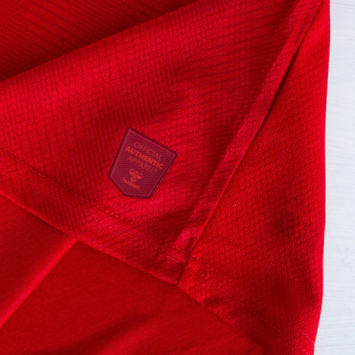 Denmark 22-23 | World Cup | Home