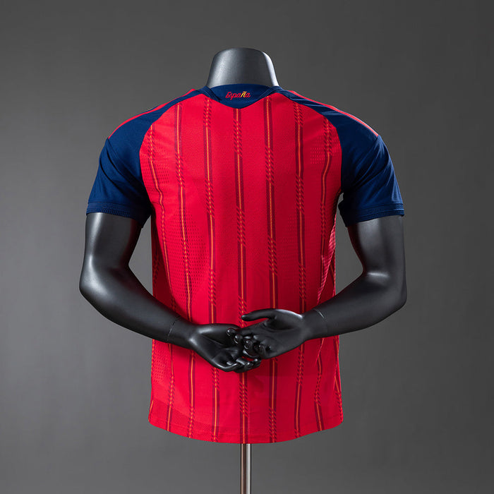 Spain 25-26 | Home | World Cup | Player Version